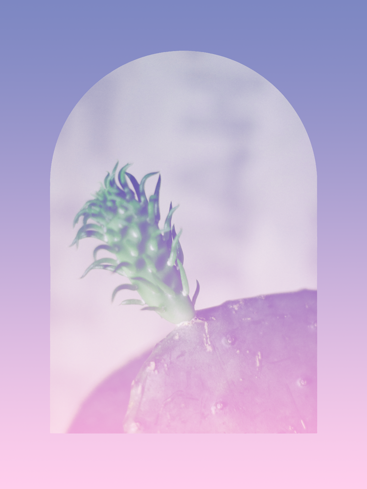 Shorter Mini Session