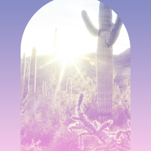 Group of 8 : Session Package (Events + Parties)