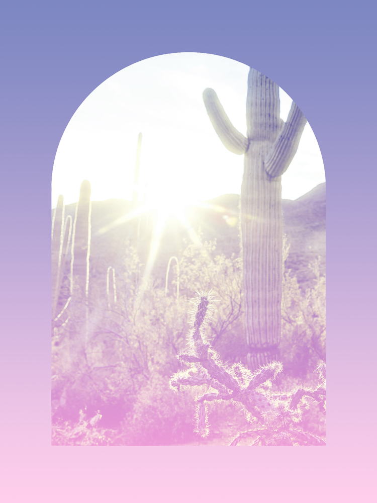 Group of 8 : Session Package (Events + Parties)