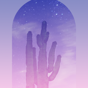 Group of  6 : Session Package (Events +Parties)