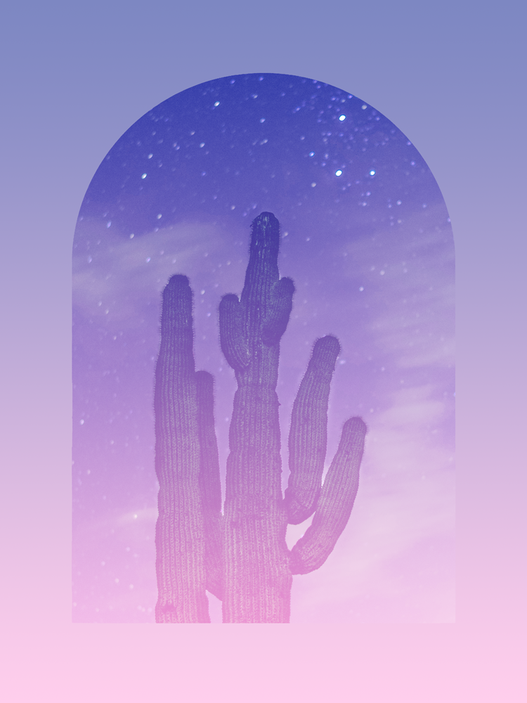 Group of  6 : Session Package (Events +Parties)