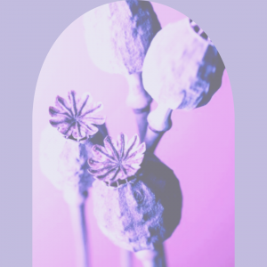 Intuition Coaching – Find Inner Self Clarity & Guidance -1 hr
