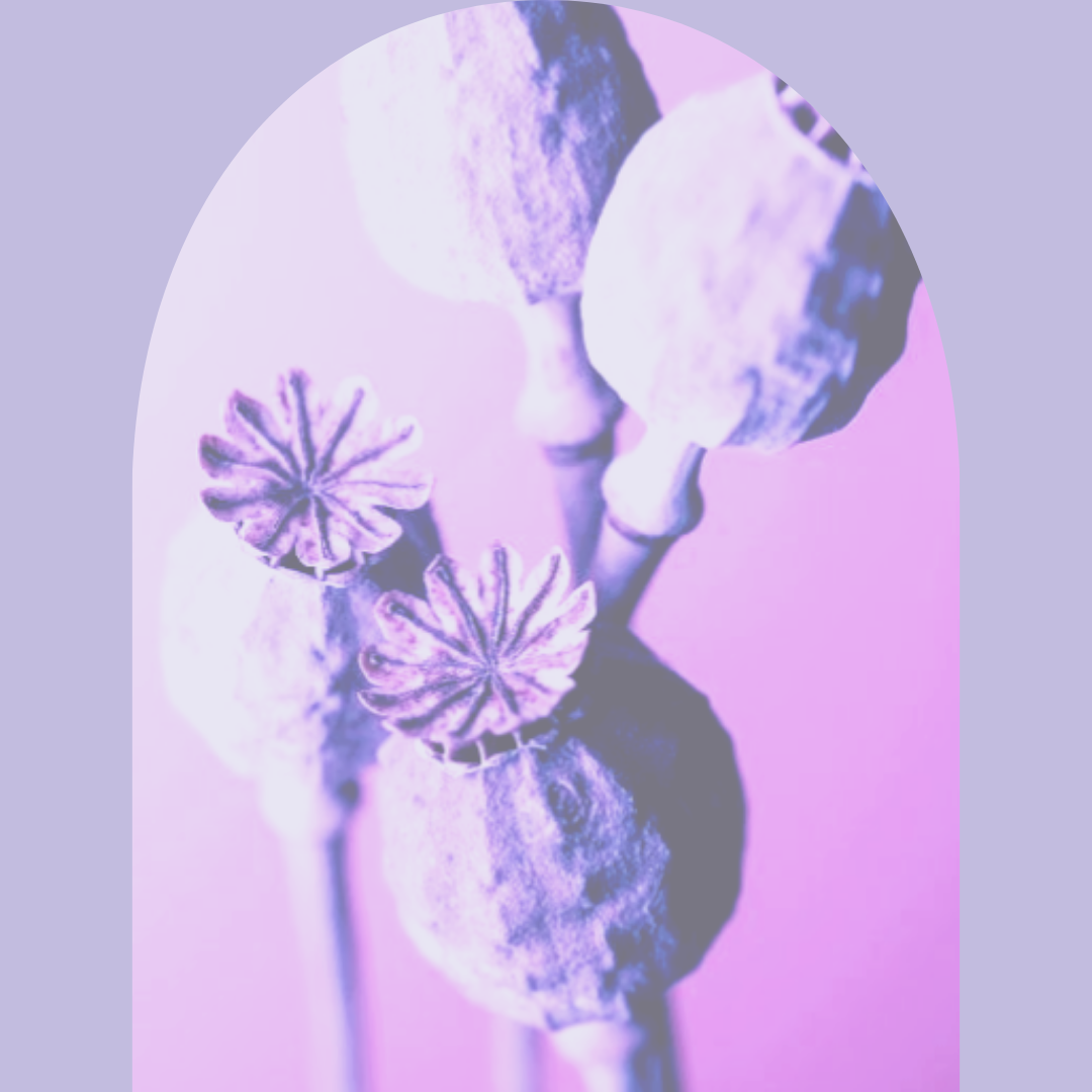 Intuition Coaching – Find Inner Self Clarity & Guidance -1 hr